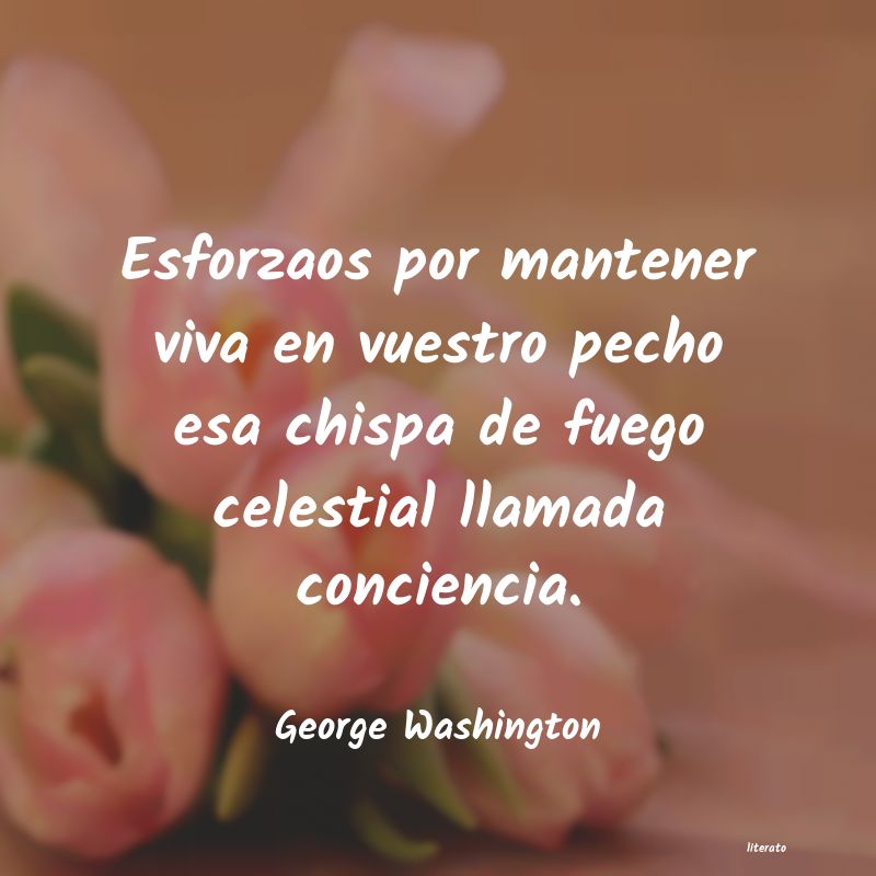 frases de George Washington