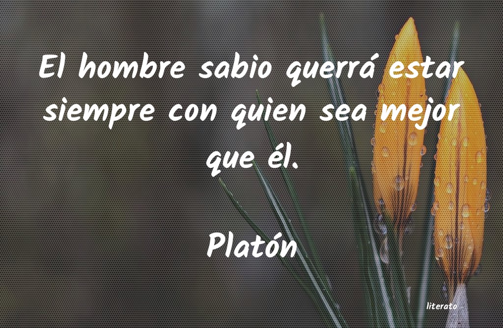 Frases de Platón