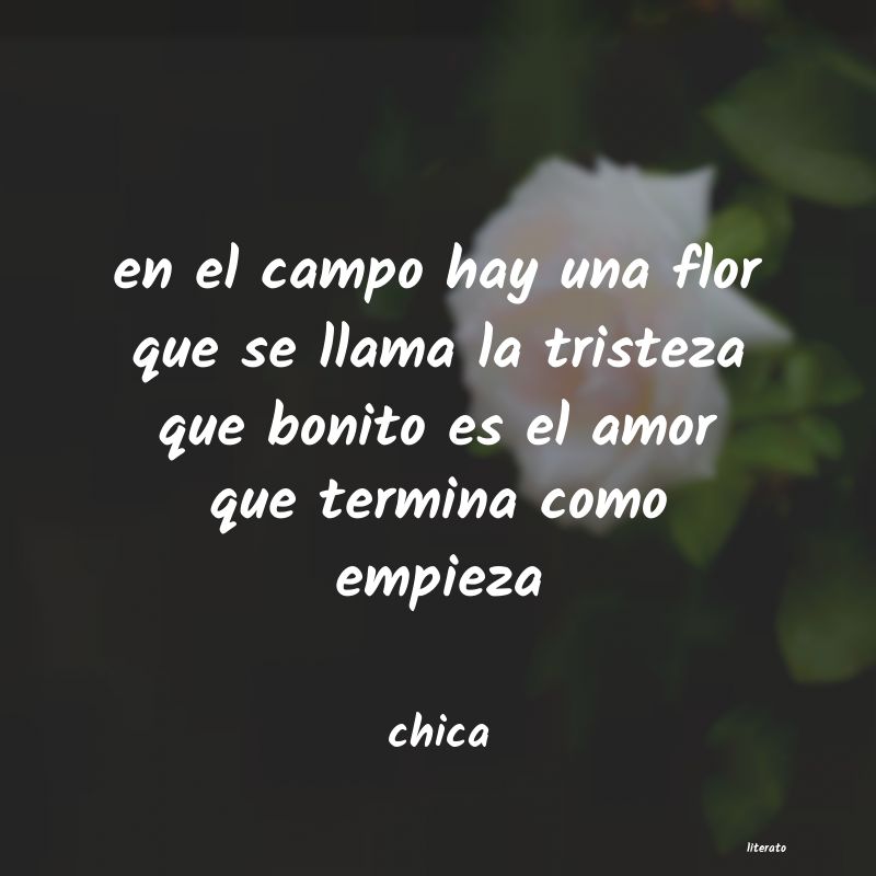 Frases de chica