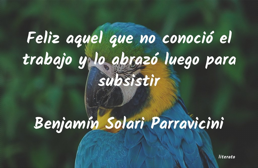 Frases de Benjamín Solari Parravicini