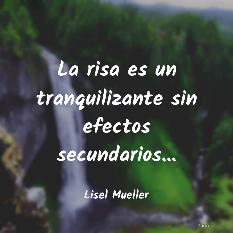 Frases de Lisel Mueller