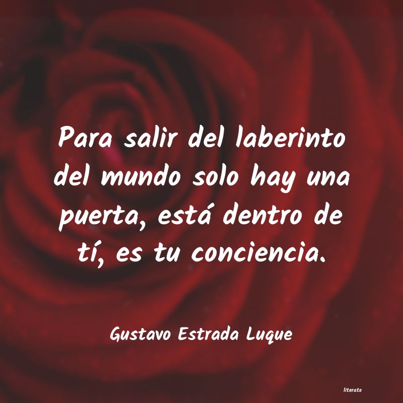 Frases de Gustavo Estrada Luque