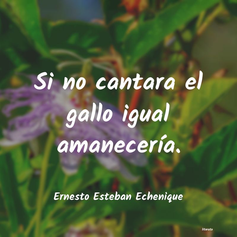 Frases de Ernesto Esteban Echenique