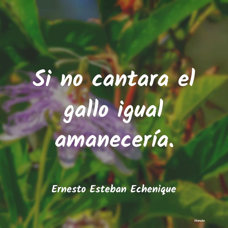 frases de Ernesto Esteban Echenique
