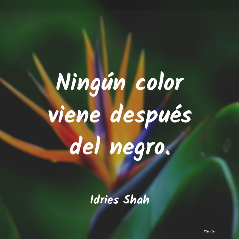 Frases de Idries Shah