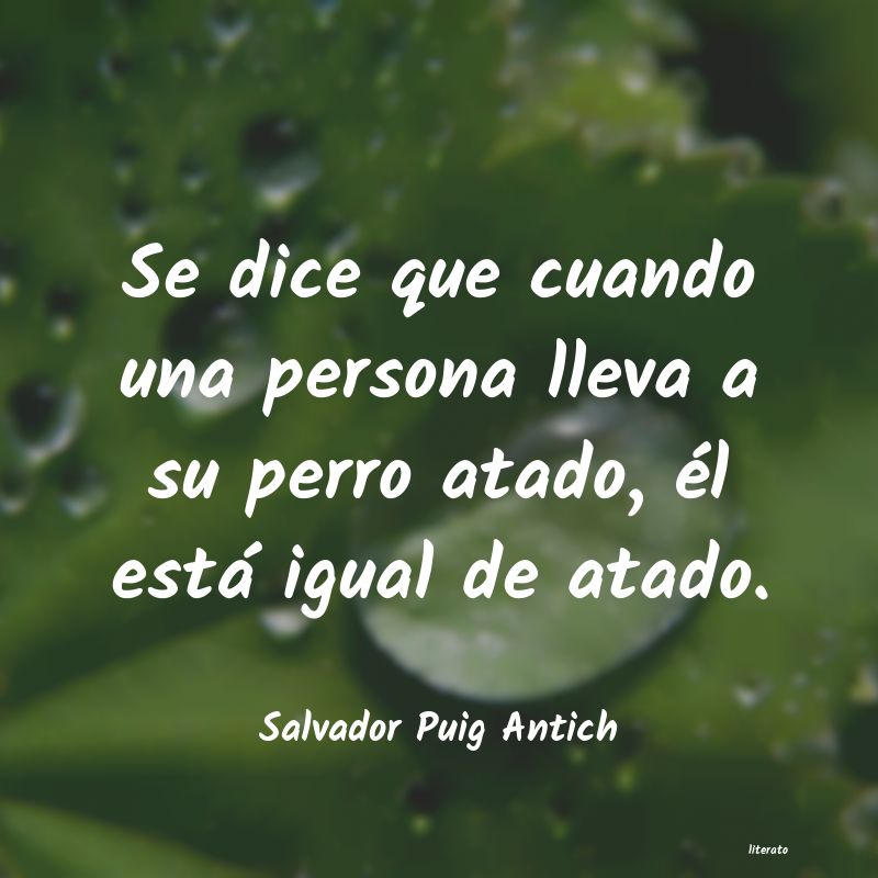 frases de Salvador Puig Antich