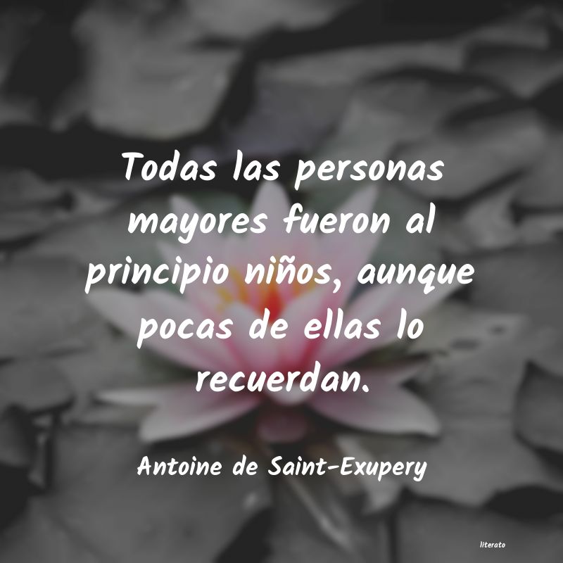 Frases de Antoine de Saint-Exupery