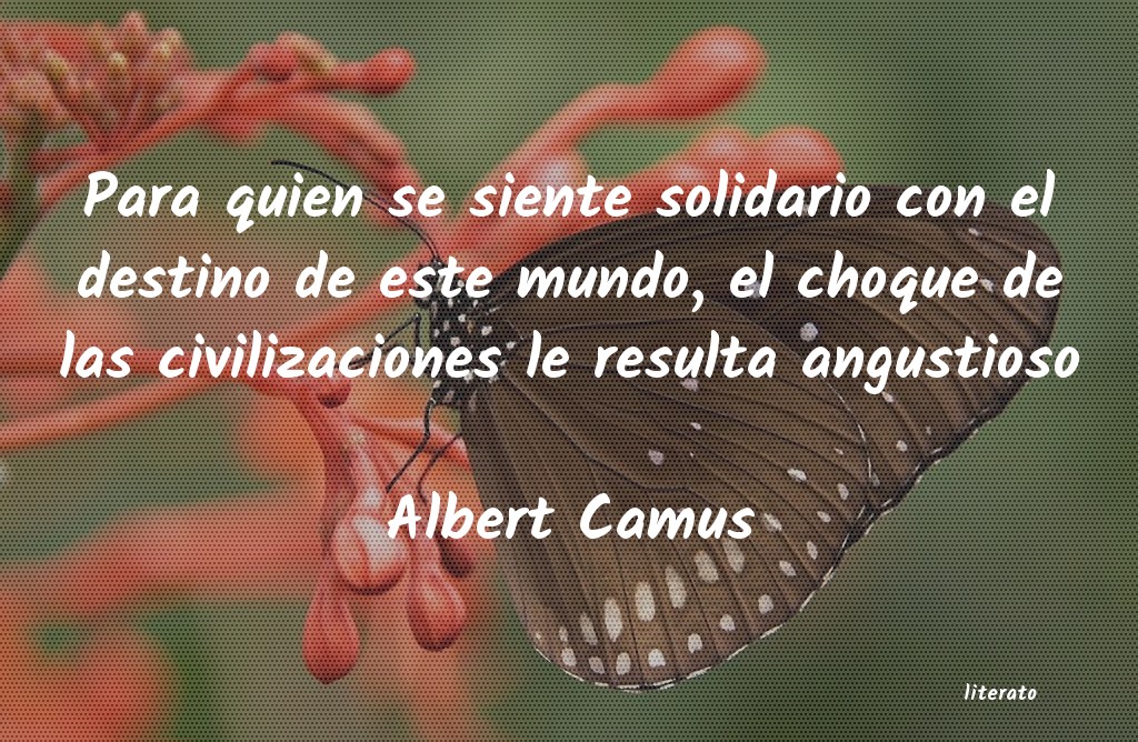frases de Albert Camus