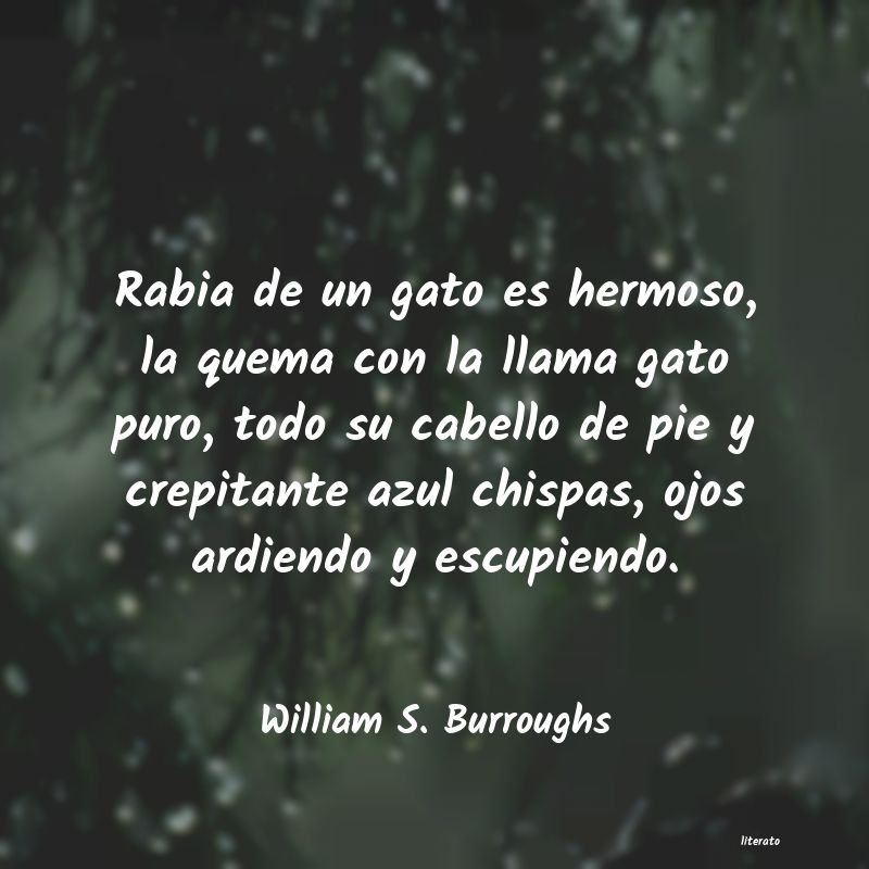 frases de William S. Burroughs