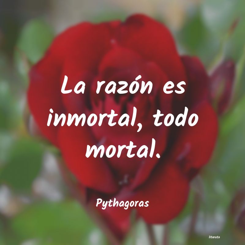 frases de Pythagoras