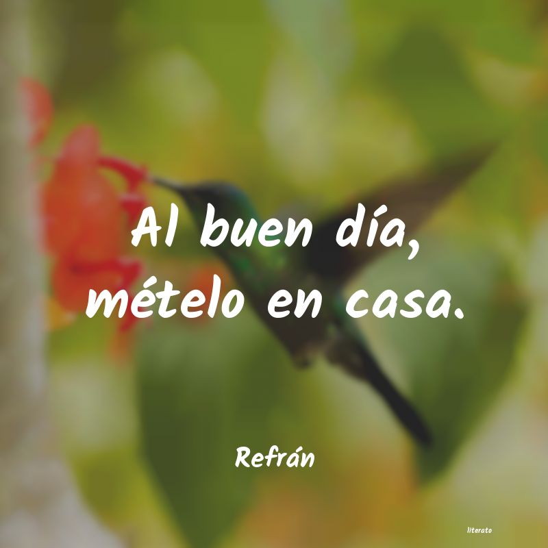 frases de Refrán