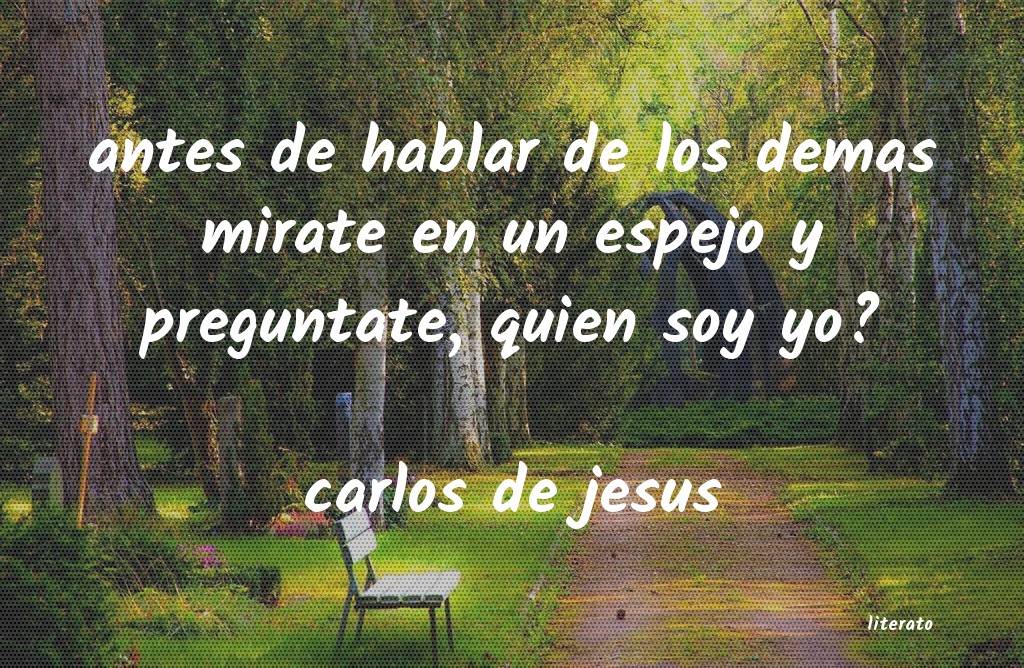 Frases de carlos de jesus