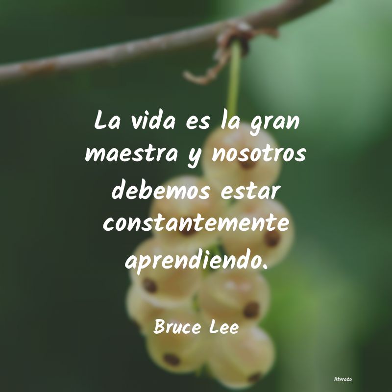 Frases de Bruce Lee