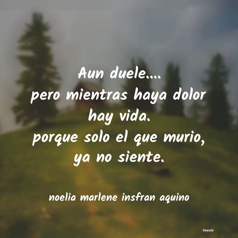 Frases de noelia marlene insfran aquino