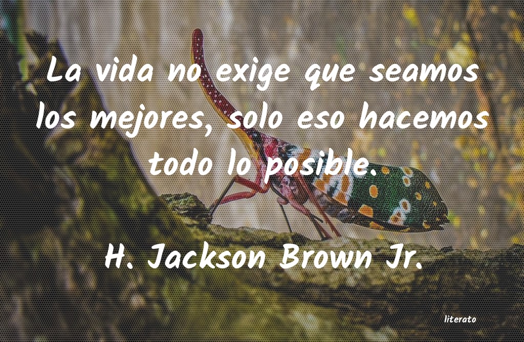 frases de H. Jackson Brown Jr.