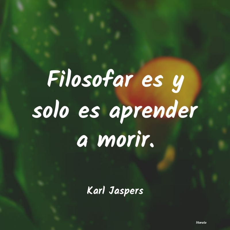 Frases de Karl Jaspers