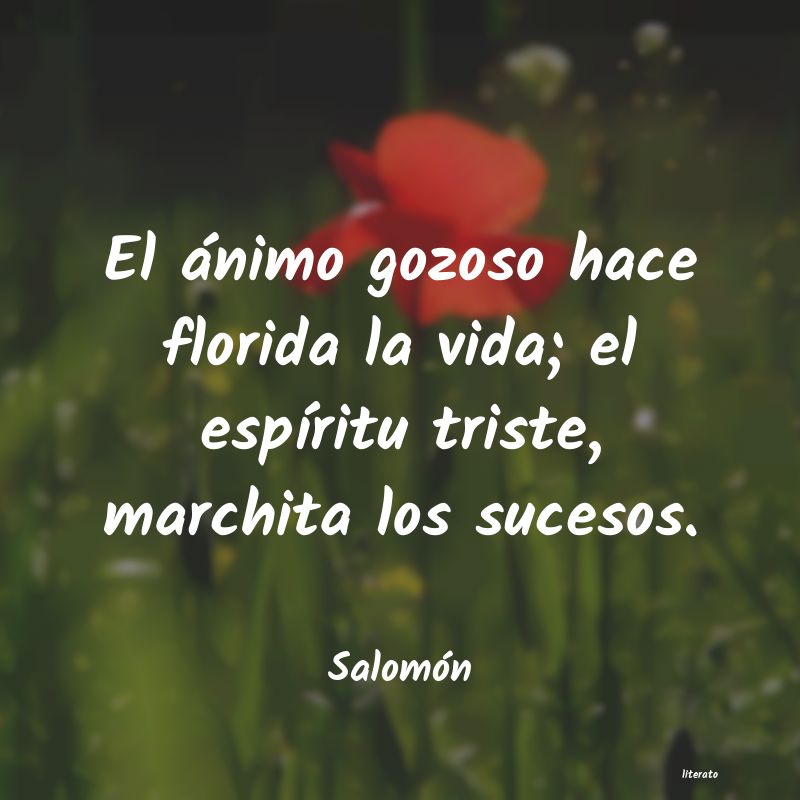 Frases de Salomón