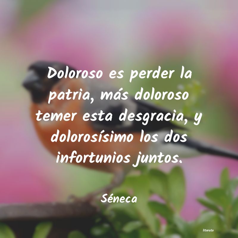 frases de Séneca