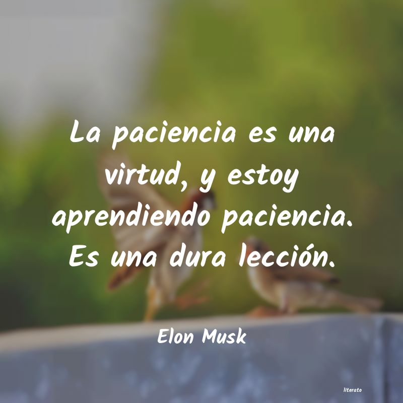 frases de Elon Musk