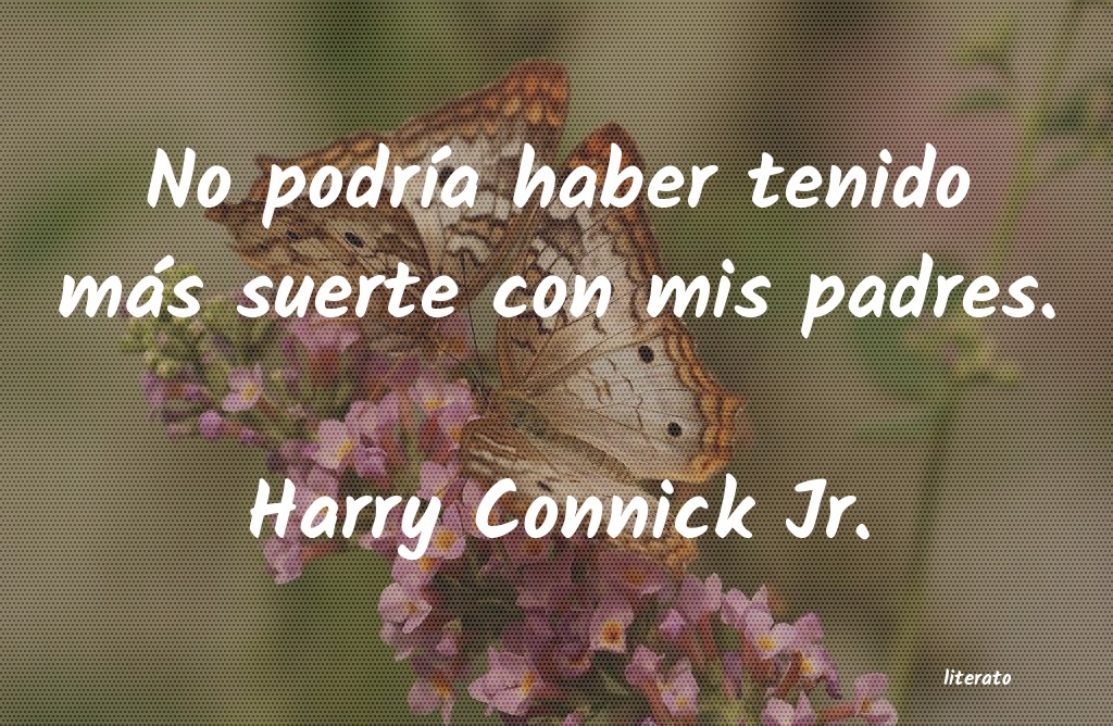 Frases de Harry Connick Jr.