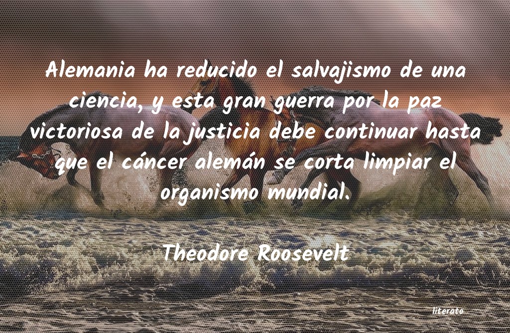 Frases de Theodore Roosevelt