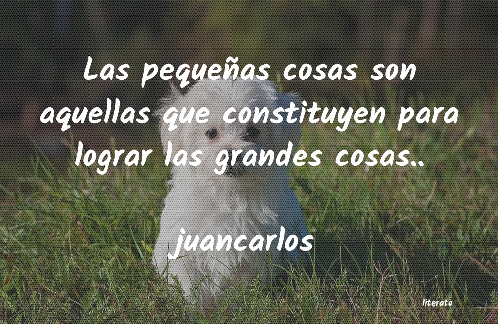 Frases de juancarlos