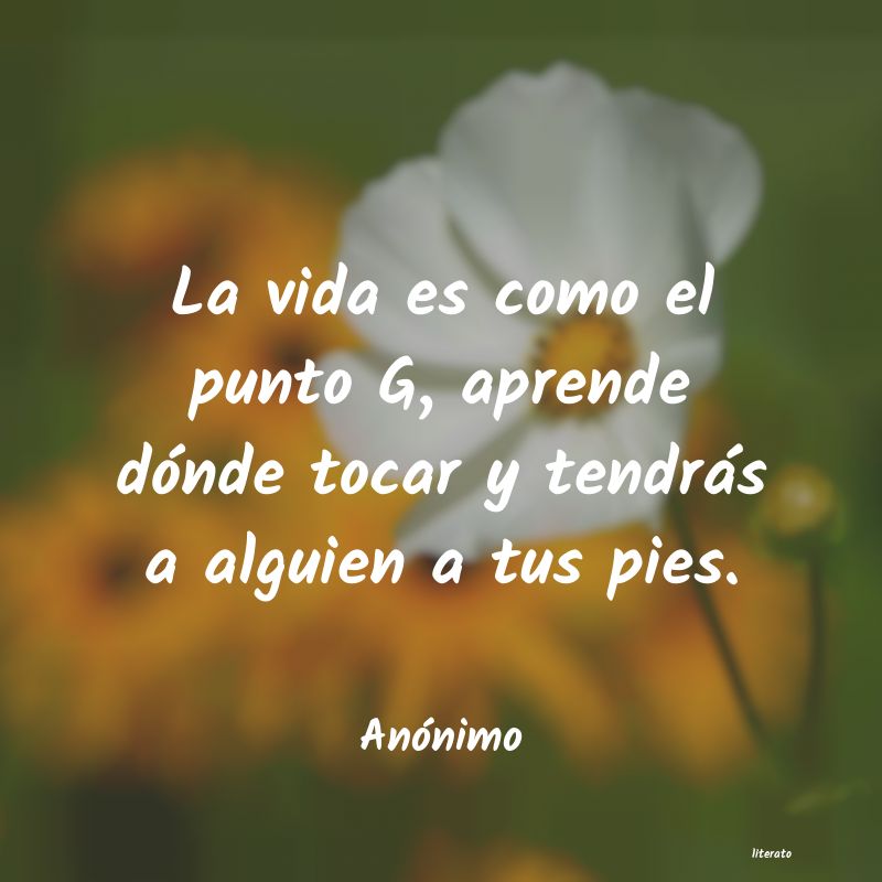 frases