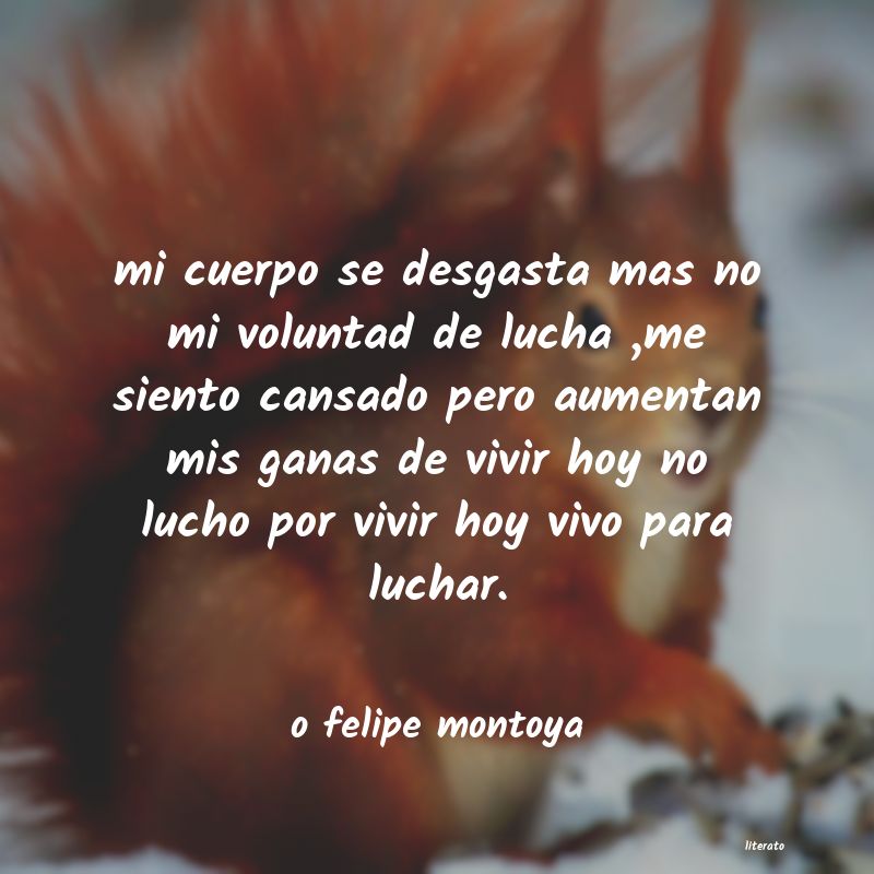 Frases de o felipe montoya