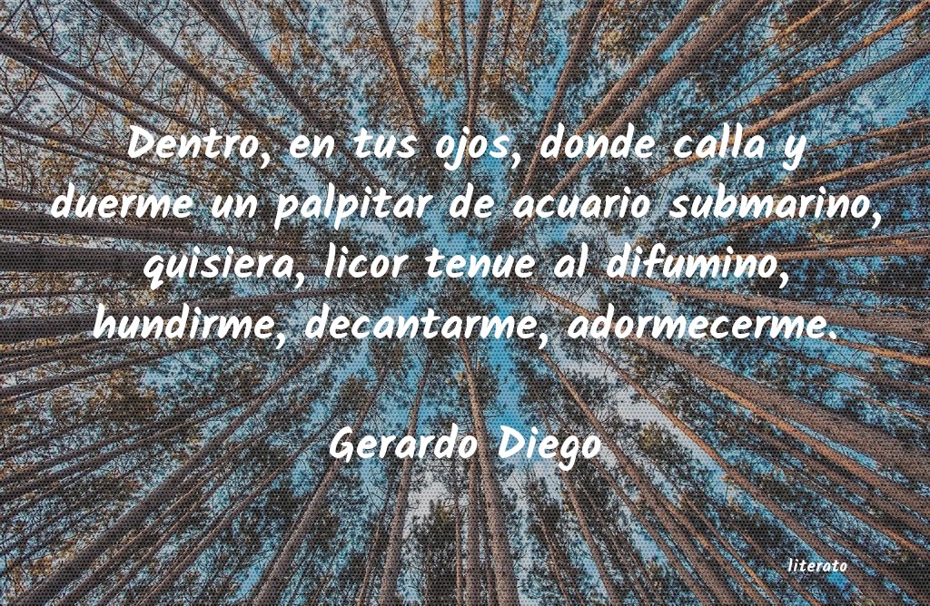 gerrado diego