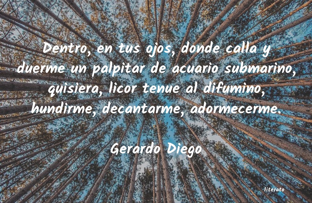 Frases de Gerardo Diego