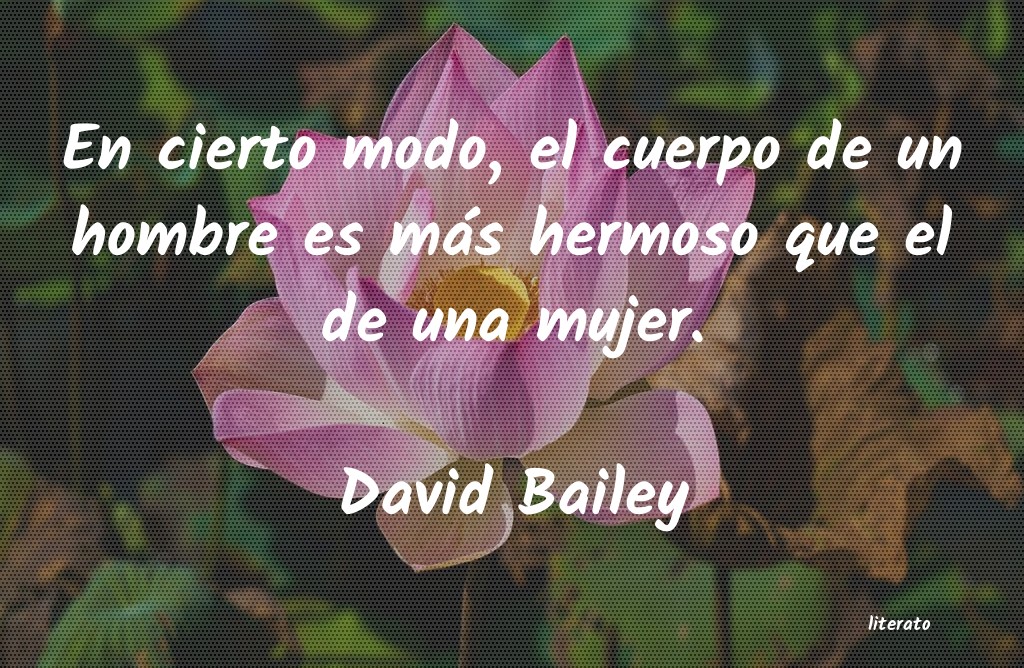 Frases de David Bailey