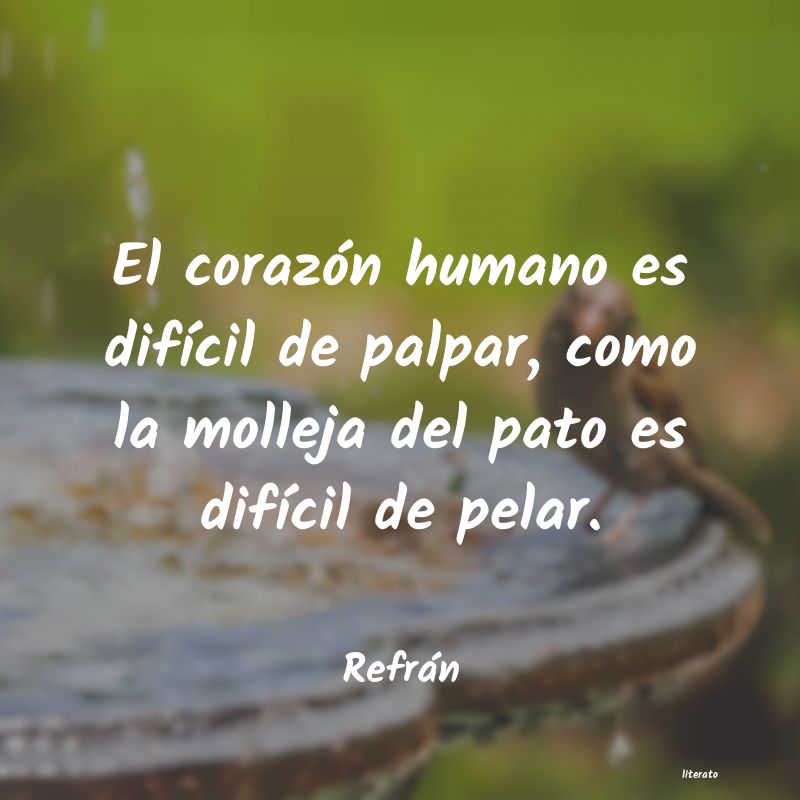 Frases de Refrán