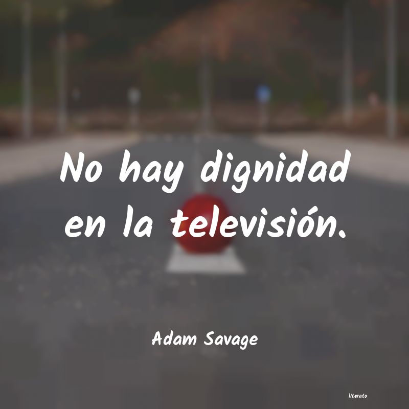 Frases de Adam Savage