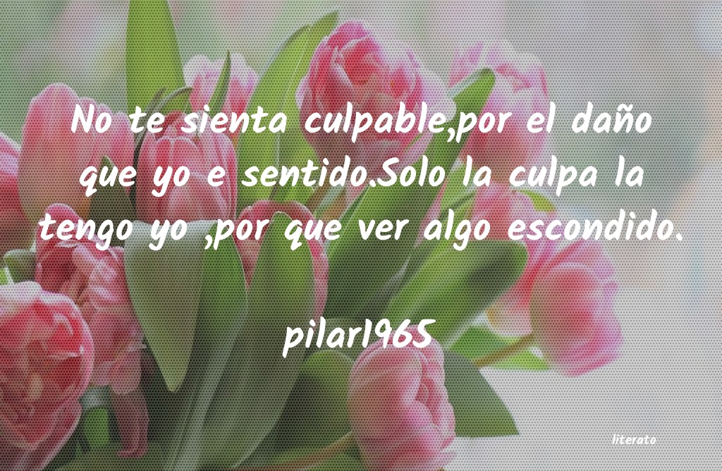 Frases de pilar1965