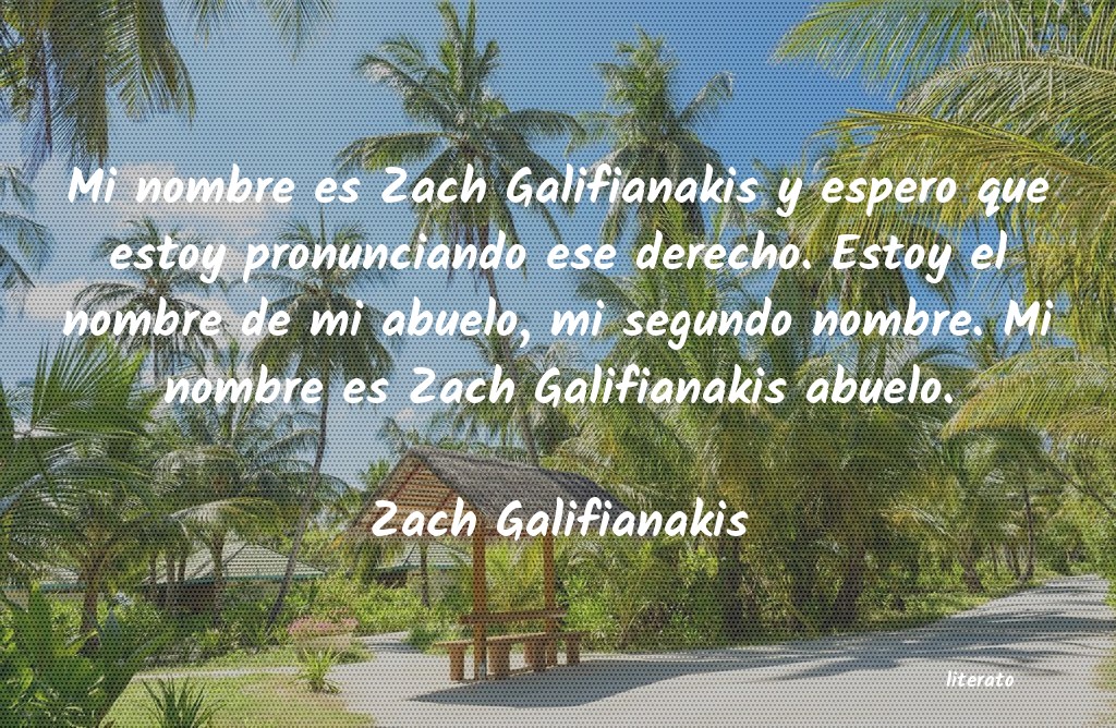 Frases de Zach Galifianakis