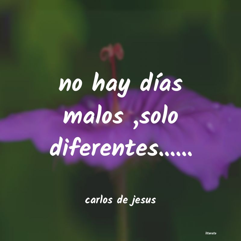 frases de carlos de jesus