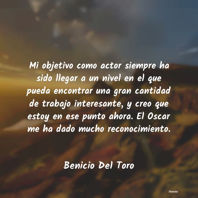 Frases de Benicio Del Toro