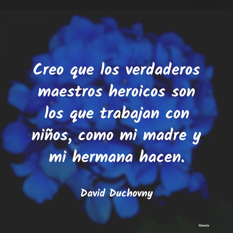 frases de David Duchovny