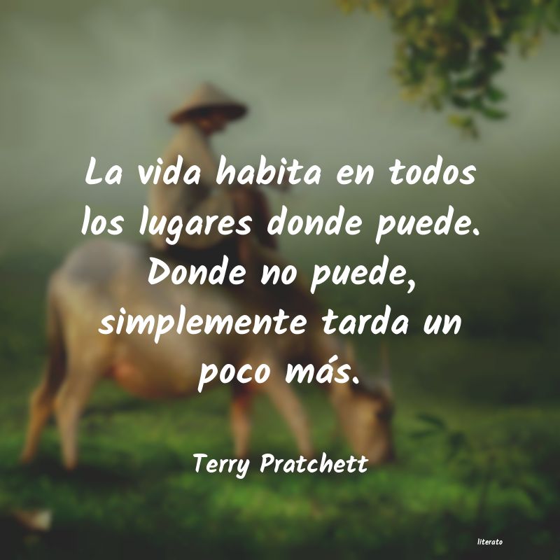 Frases de Terry Pratchett