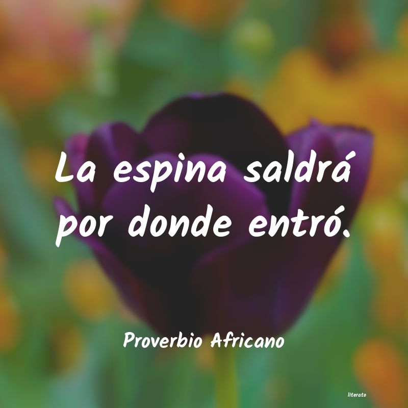frases de Proverbio Africano