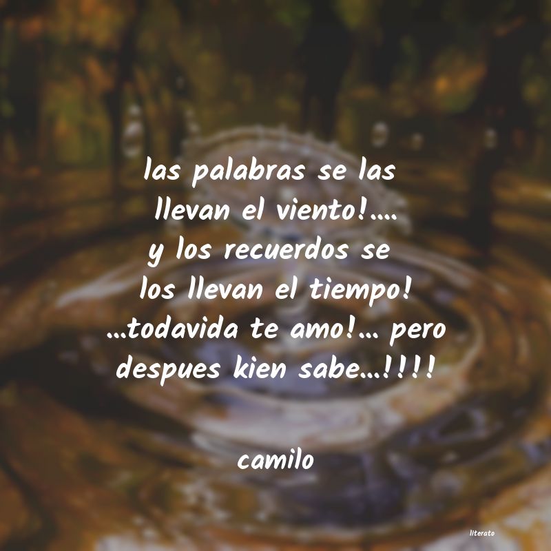 frases de camilo
