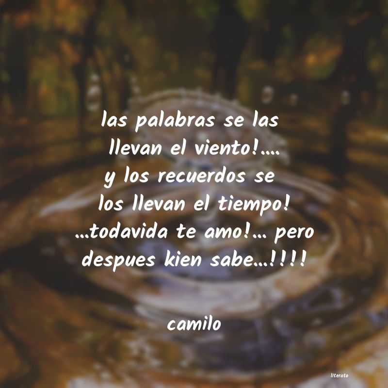 Frases de camilo