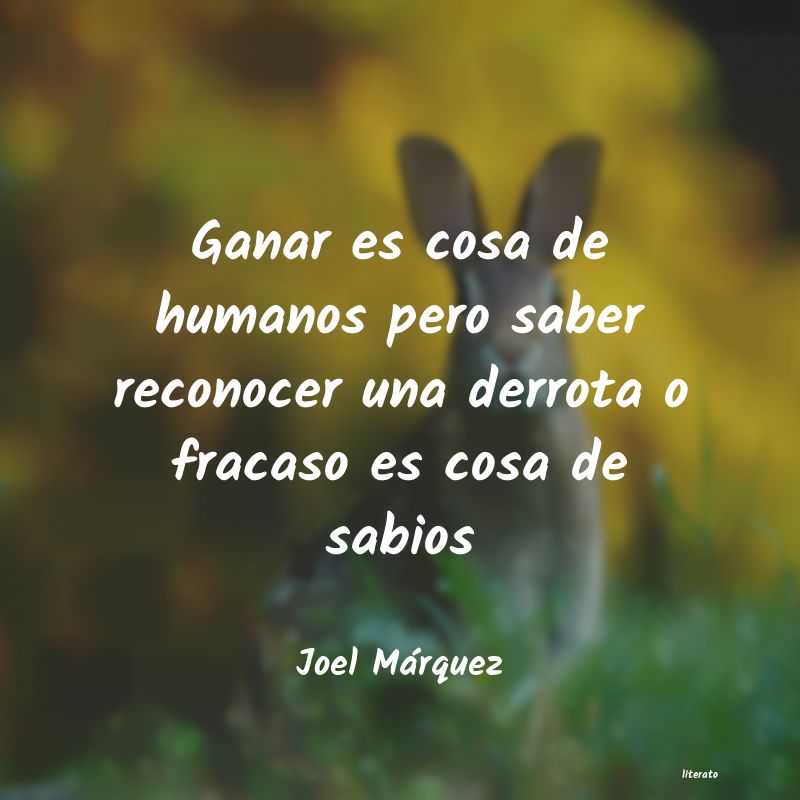 frases de Joel Márquez