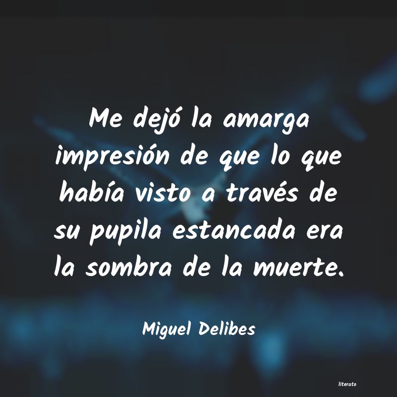 frases de Miguel Delibes