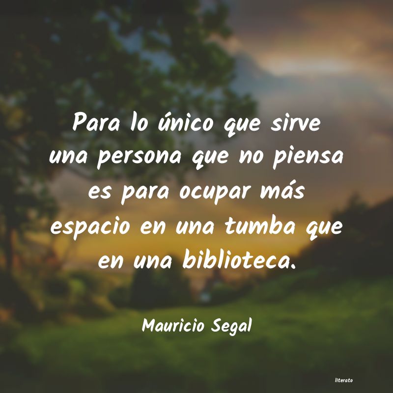 Frases de Mauricio Segal