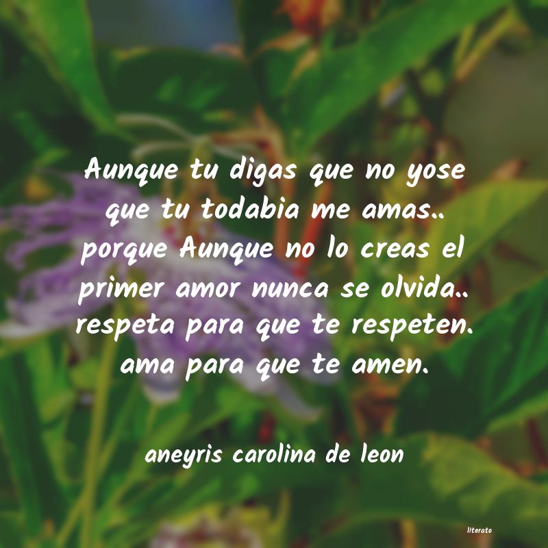 Frases de aneyris carolina de leon