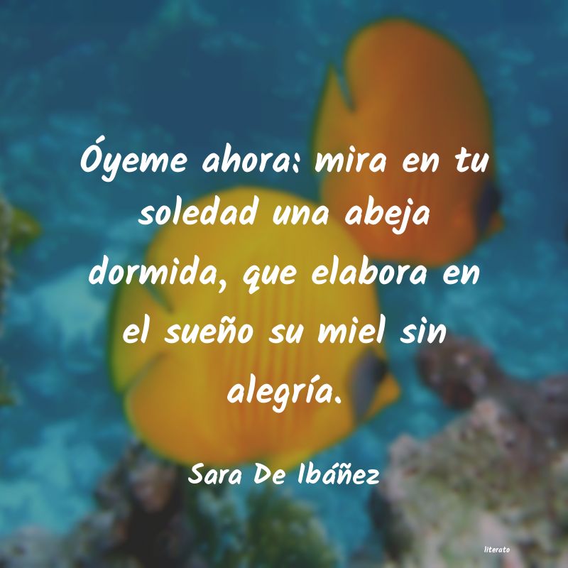 frases de Sara De Ibáñez