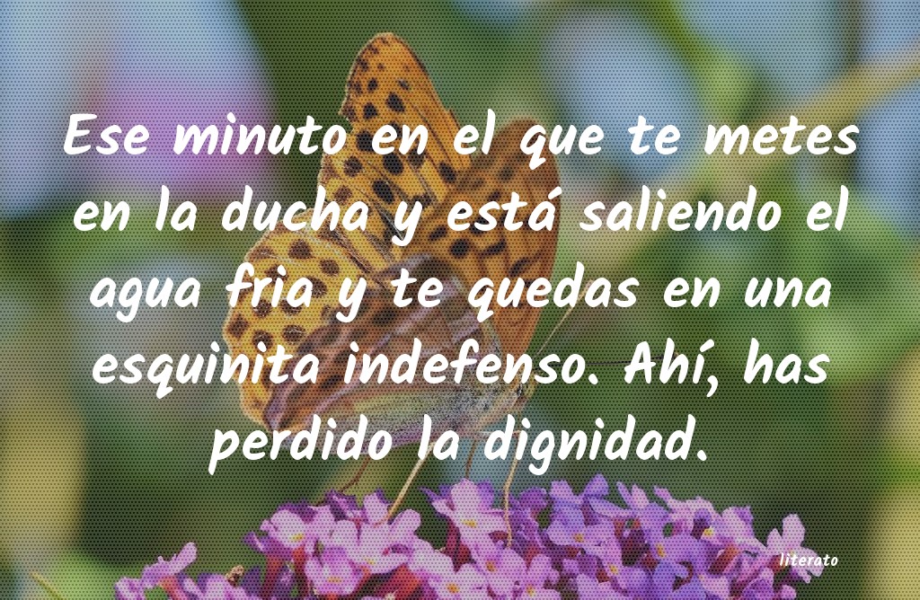 frases