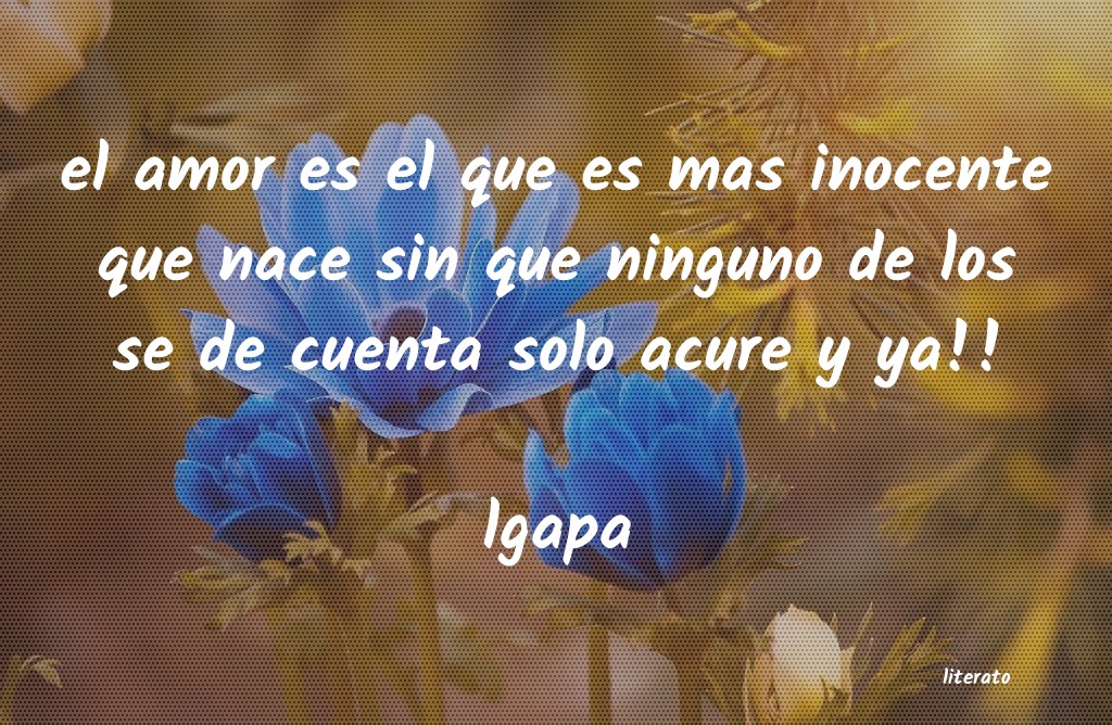 Frases de lgapa