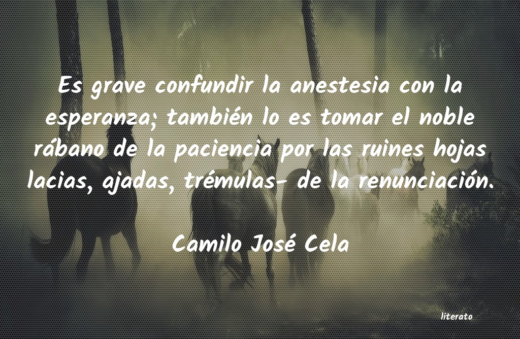 Frases de Camilo José Cela